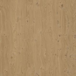 VENEER EXPRESS Layons Knotty Oak