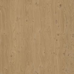 Veneer Express Layons Knotty Oak