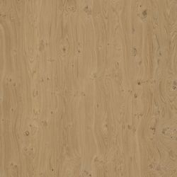 Veneer Express Layons Knotty Oak