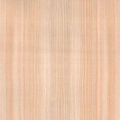 Veneer Hemlock western