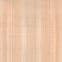 Veneer Hemlock western