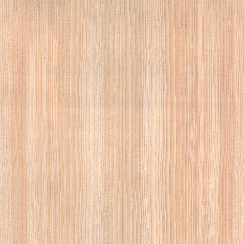 Veneer Hemlock western