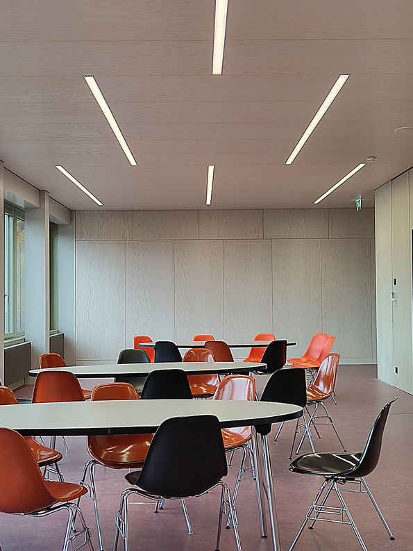 Eschenfurnier Architekturprojekte