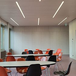 White-pigmented rotary cut ash veneer