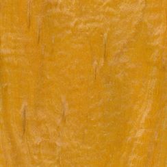 Veneer Satinwood (Ceylon)