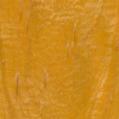 Veneer Satinwood (Ceylon)