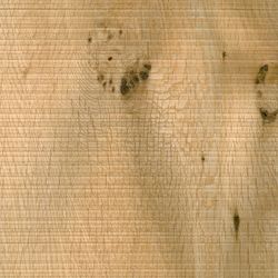 Veneer Knotty Oak Rough Cut