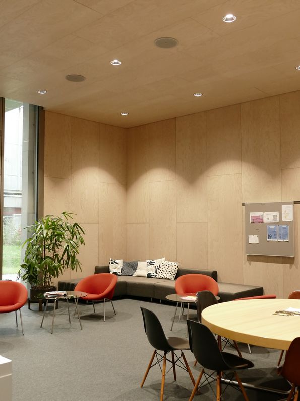 ausdrucksstarkes, zurückhaltendes Eschen Schälfurnier