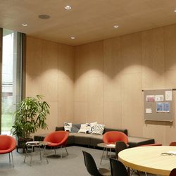 Ash veneer for interior design