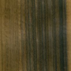 Veneer Eucalyptus smoked