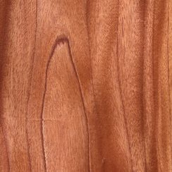 Furnier Western Red Cedar