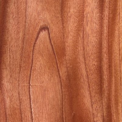 Furnier Western Red Cedar