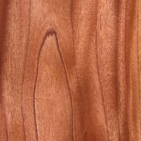 Wood species Western Red Cedar