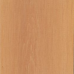 Veneer Alder