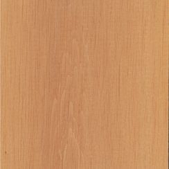 Veneer Alder