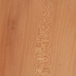 Veneer Lacewood european