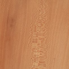 Veneer Lacewood european