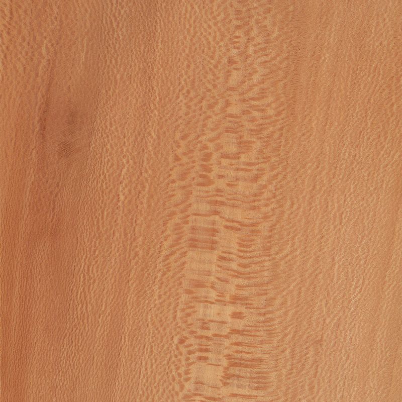 Veneer Lacewood european