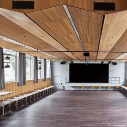 Wood species Eucalyptus, large classroom