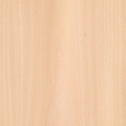 Veneer Beech (steamed)