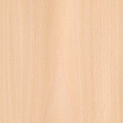 Veneer Beech (steamed)