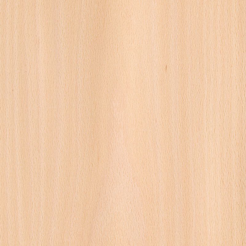 Veneer Beech (steamed)