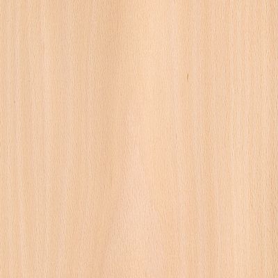 Veneer Beech (steamed)