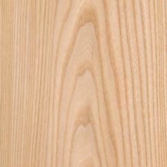 Veneer Elm