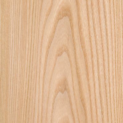 Veneer Elm