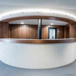 Wood species Walnut american, reception desk