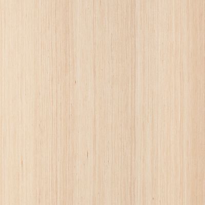 Furnier Express Design Birke natur