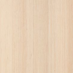 Furnier Express Design Birke natur