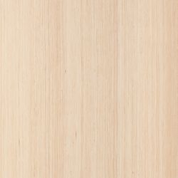 Furnier Express Design Birke natur