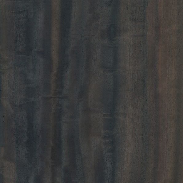 Veneer Eucalyptus figured smoked