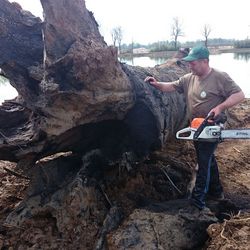 Edelfurnier Mooreiche von der Roser AG Mooreiche für Innenausbau