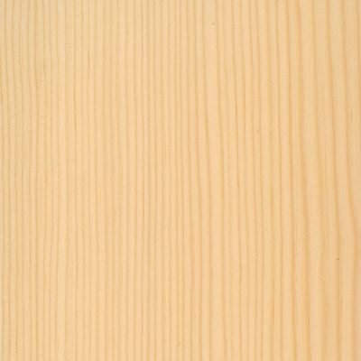 Veneer Spruce