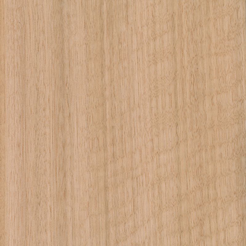 Veneer Eucalyptus