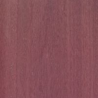 Wood species Purpleheart