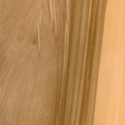 Furnier Satin Nussbaum (Red Gum)