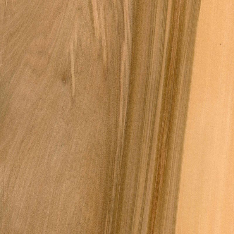 Furnier Satin Nussbaum (Red Gum)