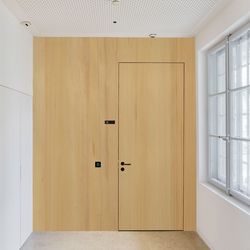 Veneered door fir Structura