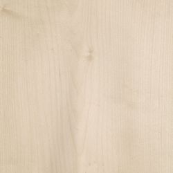 Veneer Sycamore