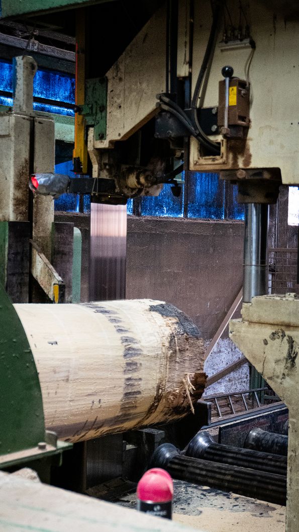 Roser during veneer production Wood traceability, transparency
