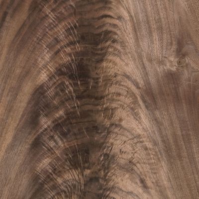 Veneer Walnut Crotch