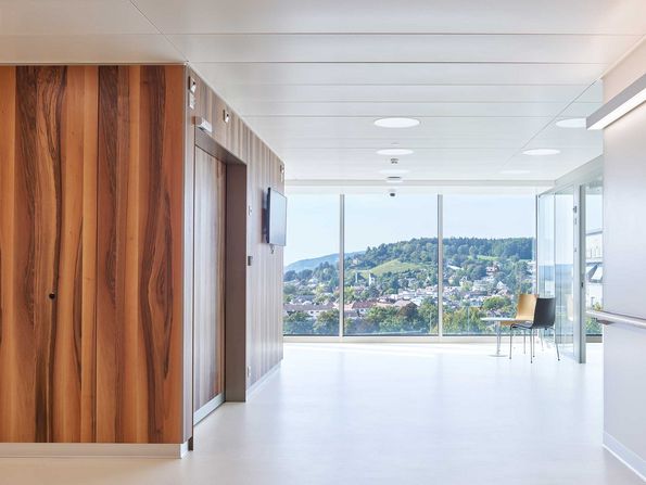 Walnut veneer KSW Winterthur