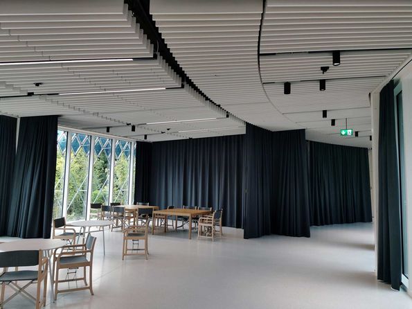 Acoustics and fir wood