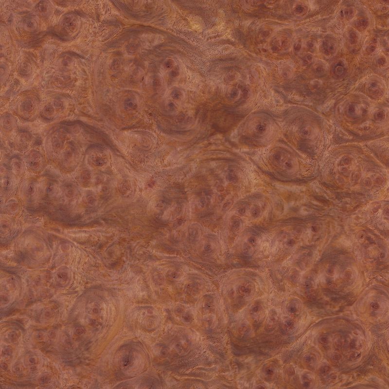 Veneer Amboina Burl