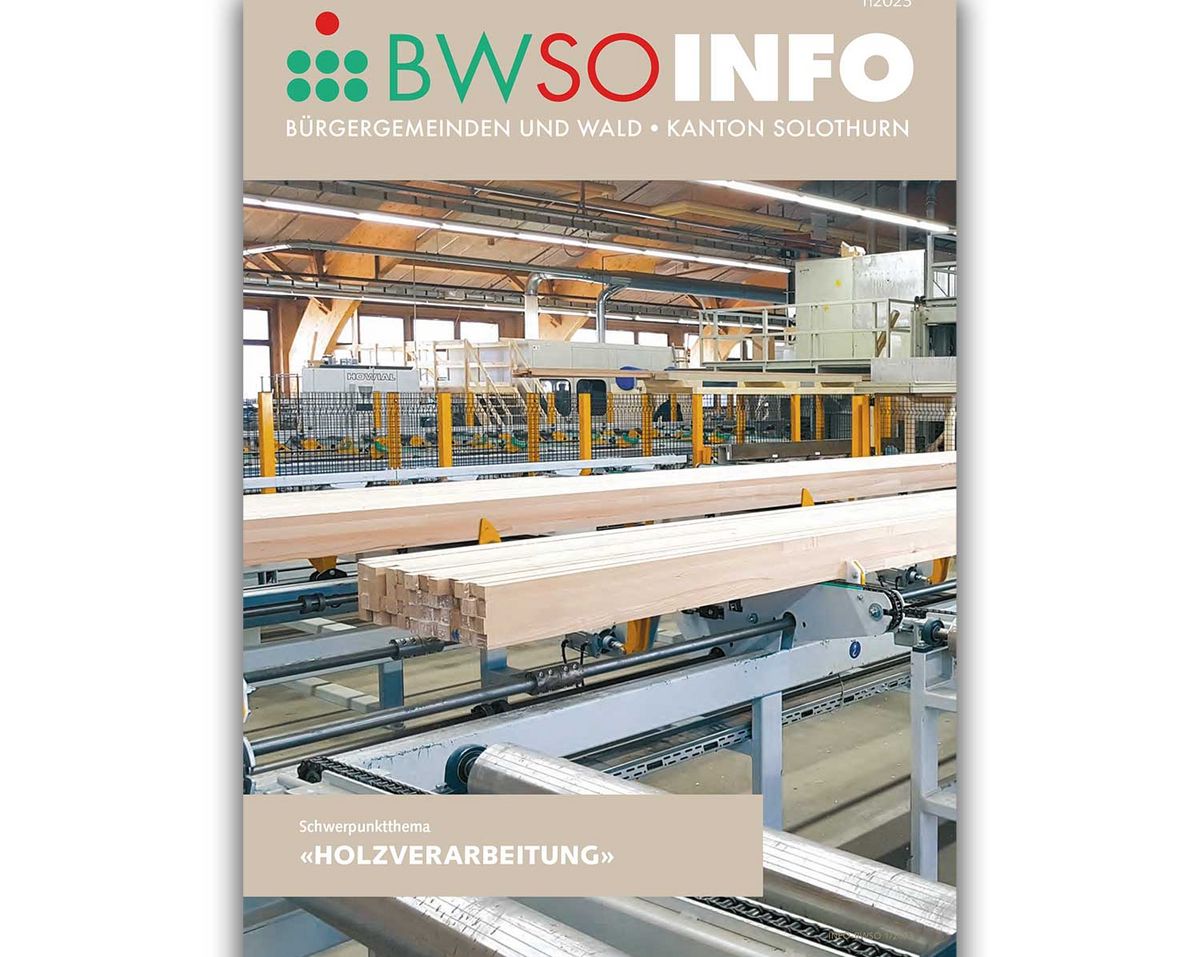 BWSOINFO - Furnierartikel Roser AG