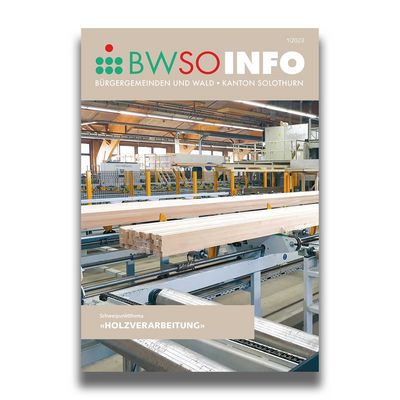 Artikel about veneer from Roser AG