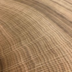 Veneer Express Layons Brainwood Half Disks